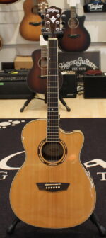 Washburn AG20CE USATO cod. 80724