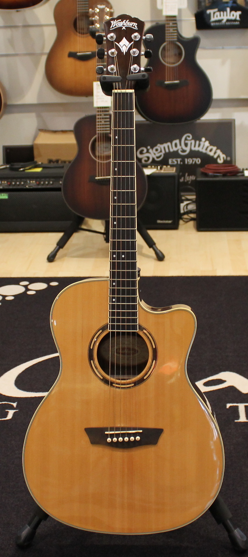 Washburn AG20CE USATO cod. 80724