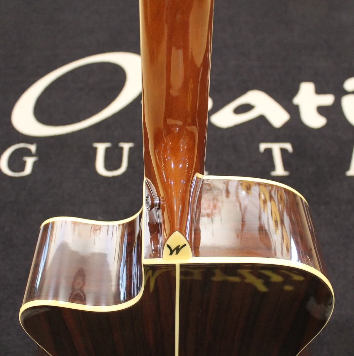 Washburn AG20CE USATO cod. 80724 - immagine 11