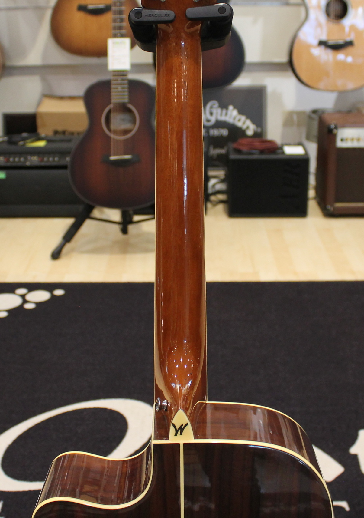 Washburn AG20CE USATO cod. 80724 - immagine 12