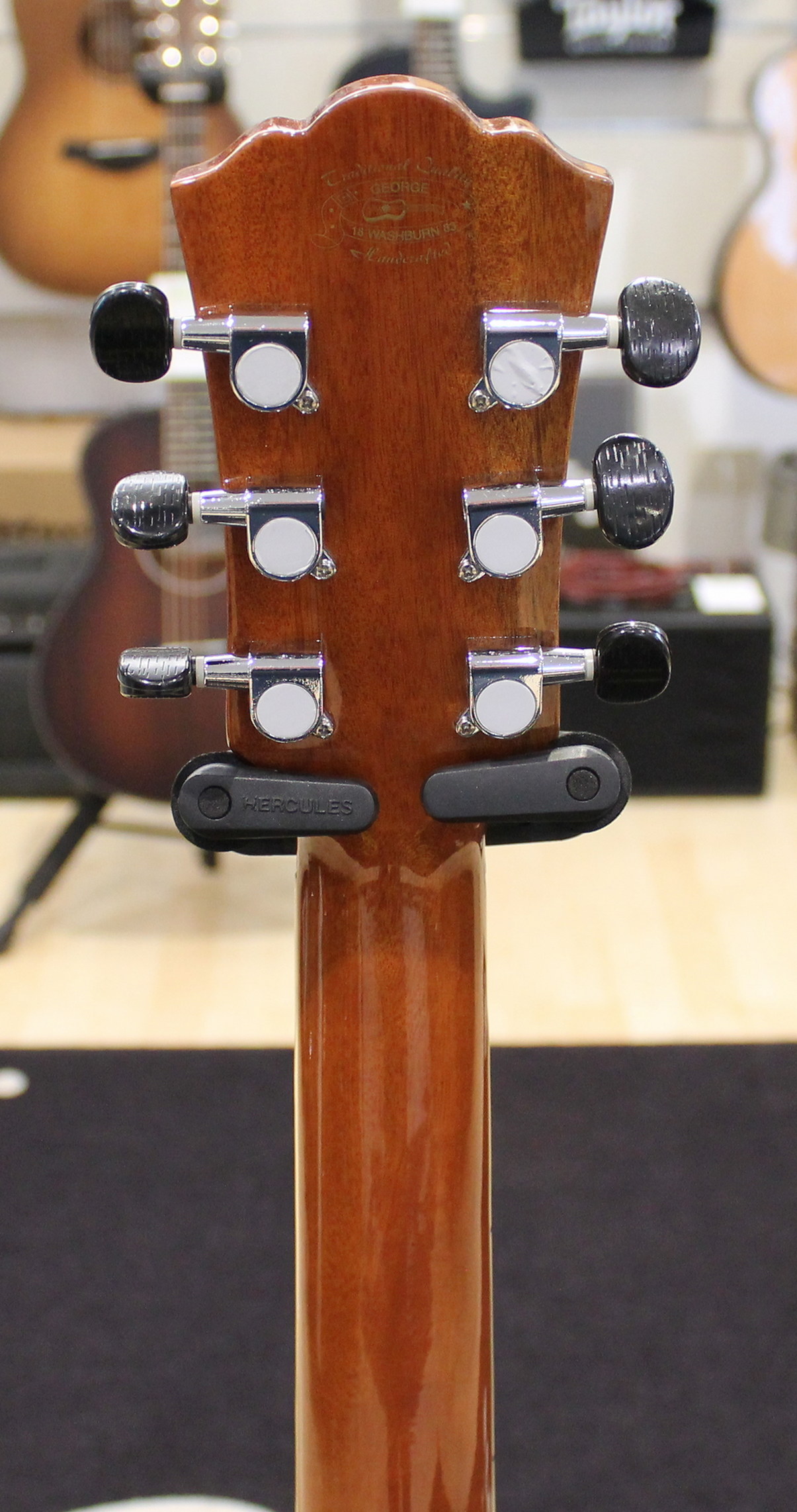 Washburn AG20CE USATO cod. 80724 - immagine 13