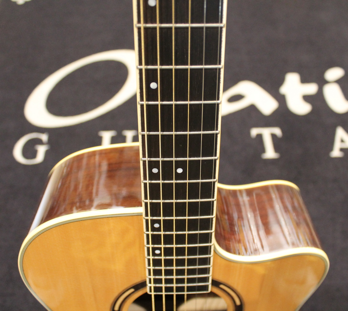 Washburn AG20CE USATO cod. 80724 - immagine 5