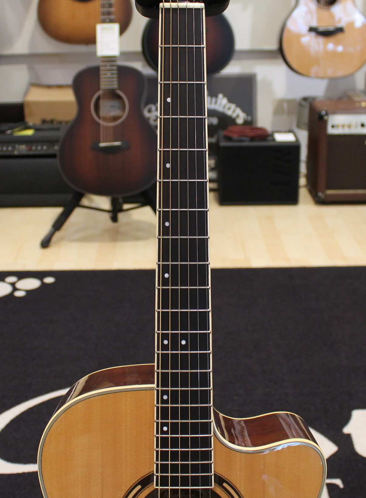 Washburn AG20CE USATO cod. 80724 - immagine 6