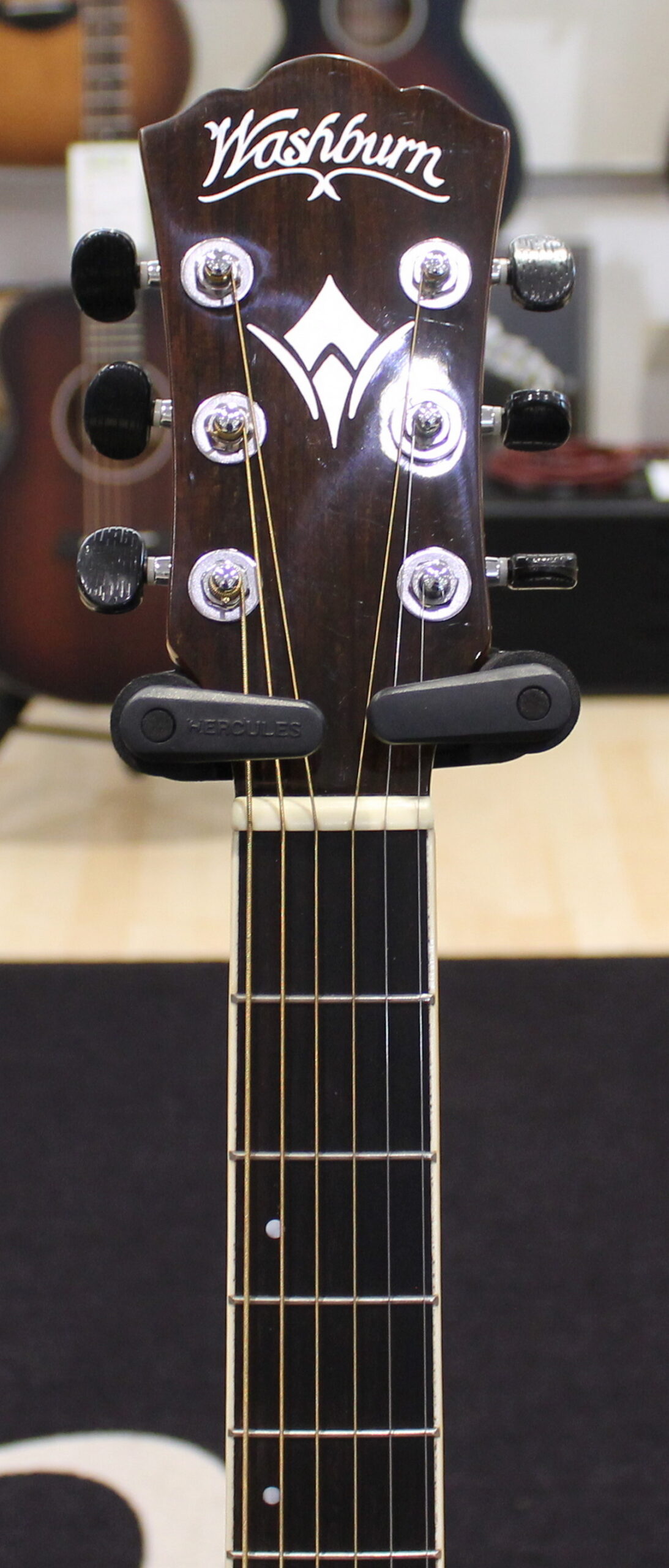 Washburn AG20CE USATO cod. 80724 - immagine 7