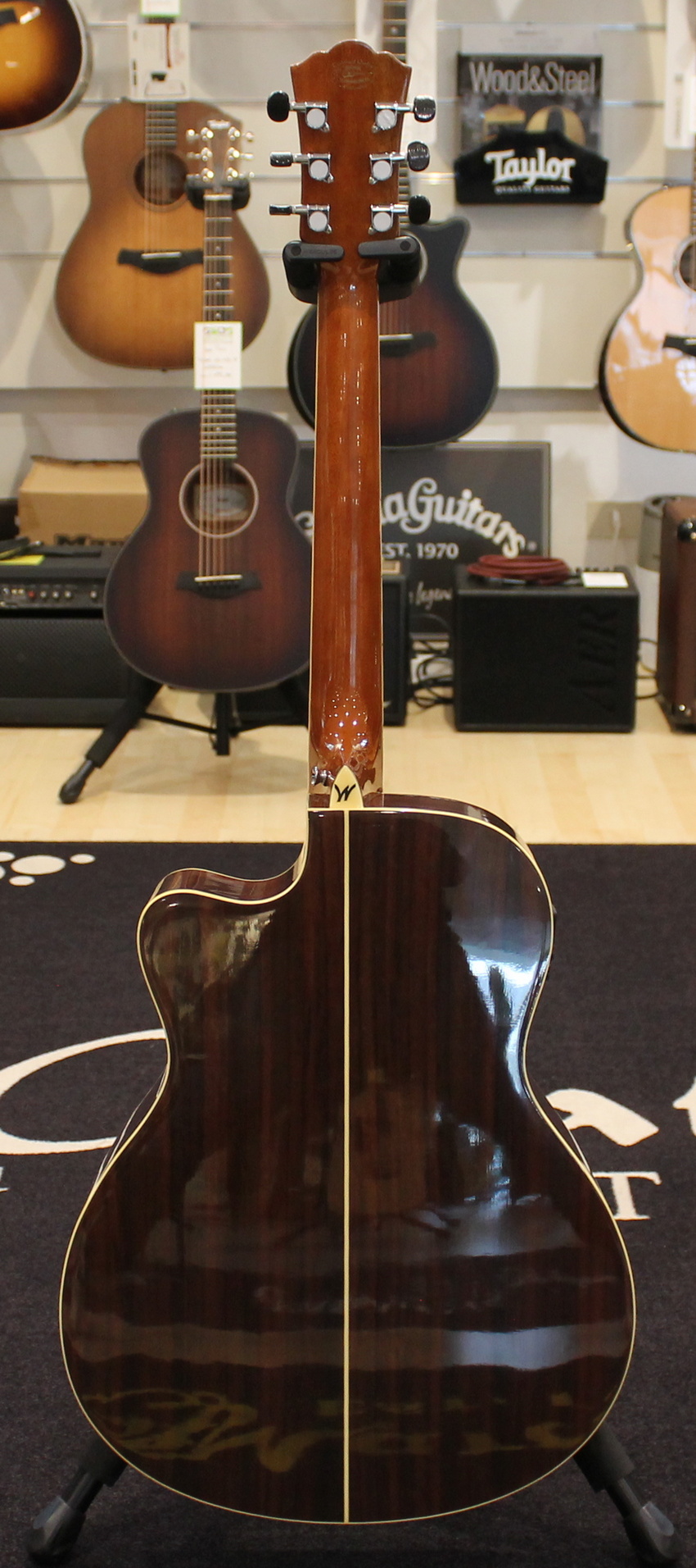 Washburn AG20CE USATO cod. 80724 - immagine 8