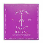 Augustine Classic Blue Regal