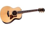 Taylor 50th Anniversary GS Mini-e Rosewood LTD