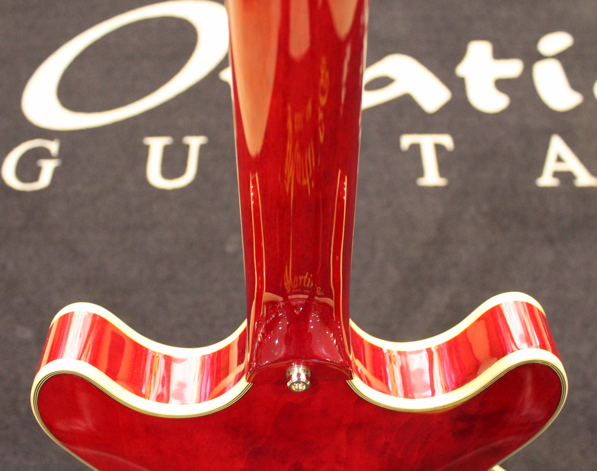 Sire Larry Carlton H7 USATO cod. 98024 - immagine 11