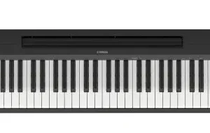 Yamaha P-143