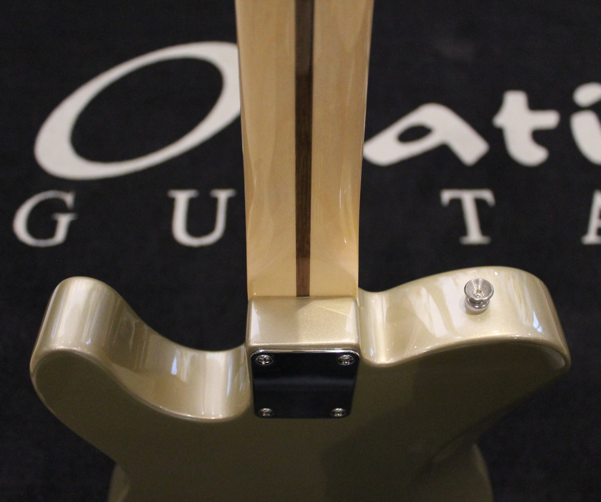 Fender Chris Shiflett Telecaster USATO cod. 10825 - immagine 11