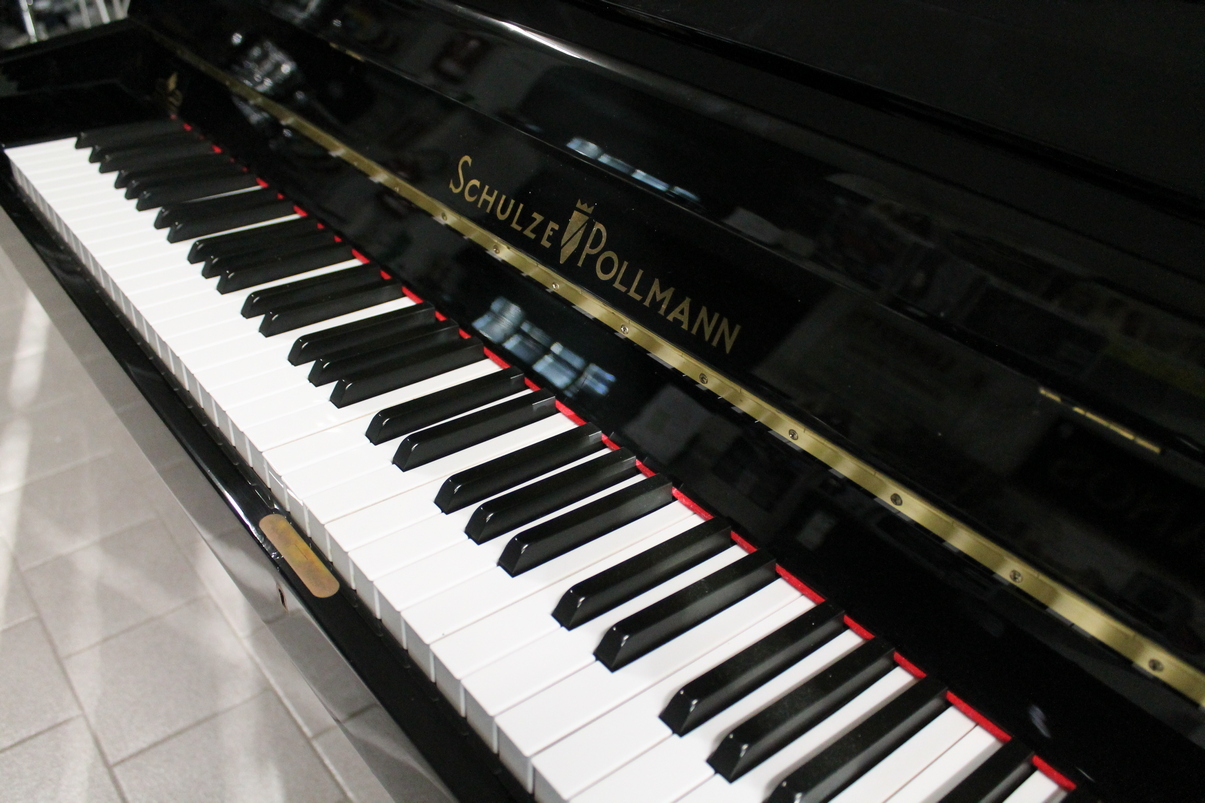 Schulze Pollmann SP109M USATO cod. 9925 - immagine 3