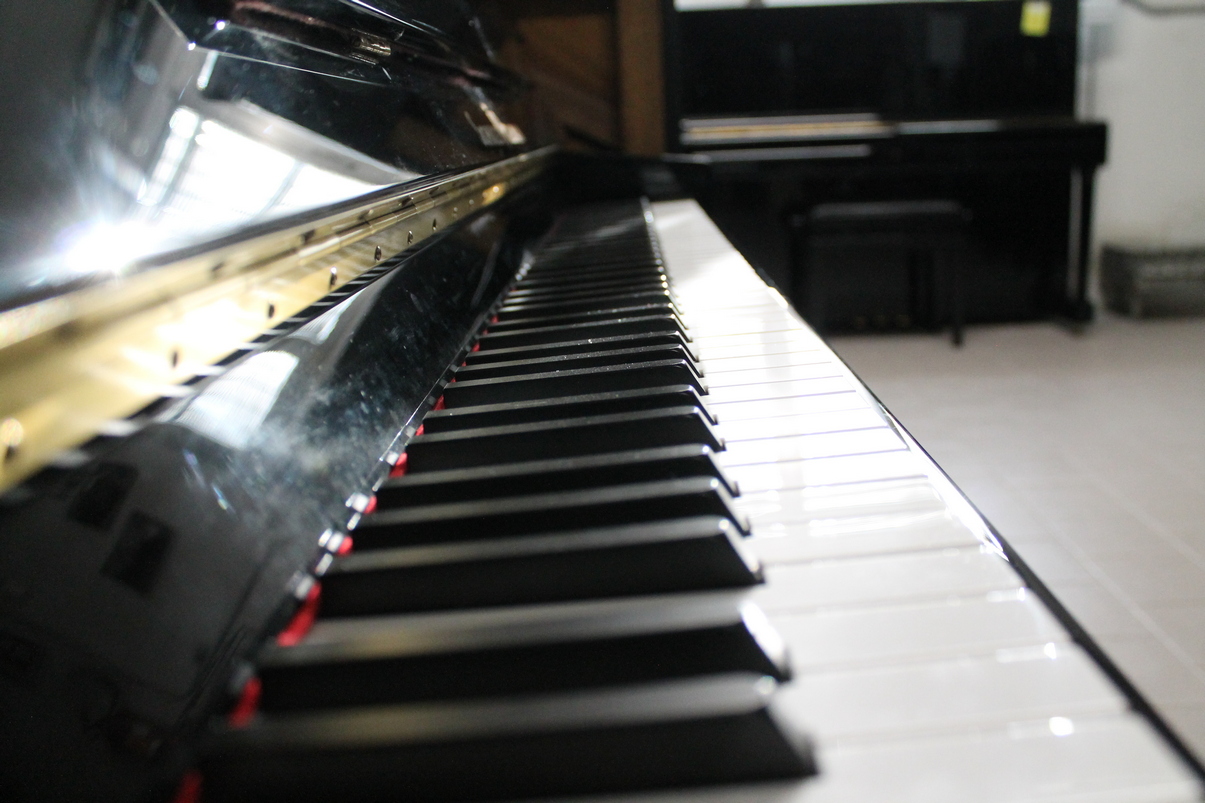 Schulze Pollmann SP109M USATO cod. 9925 - immagine 5