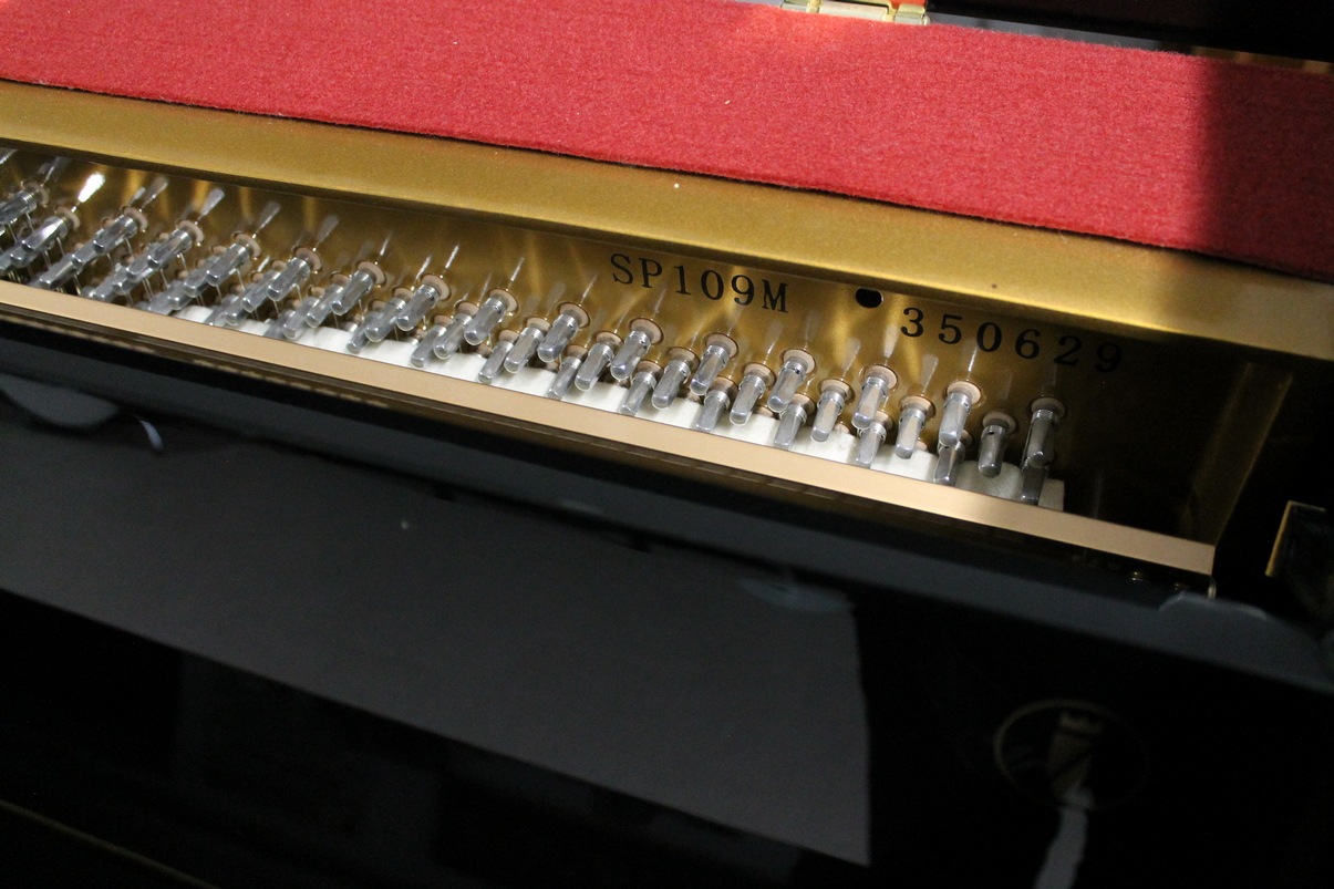 Schulze Pollmann SP109M USATO cod. 9925 - immagine 6