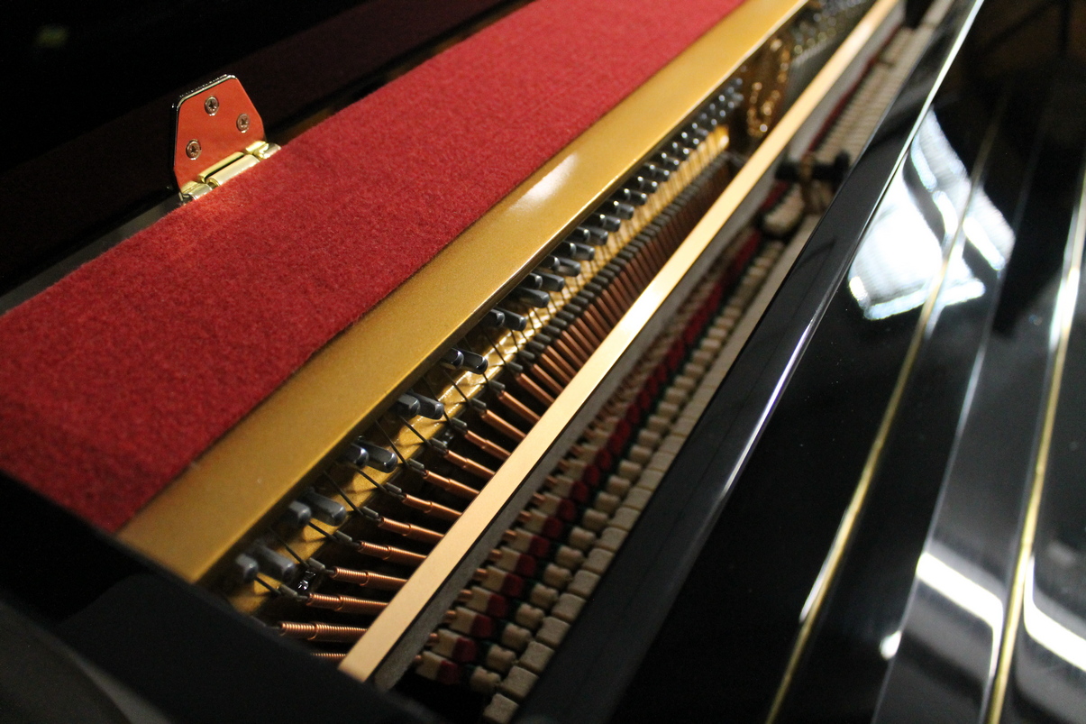 Schulze Pollmann SP109M USATO cod. 9925 - immagine 7