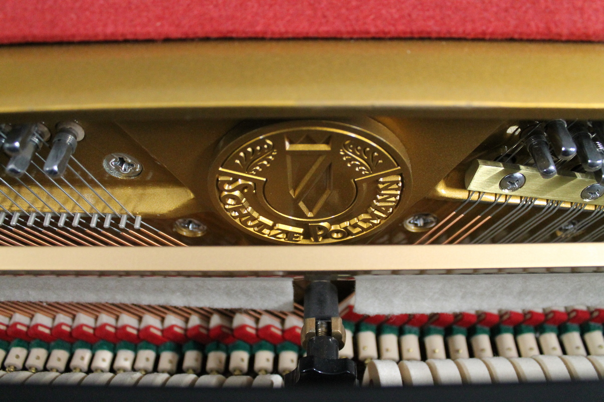 Schulze Pollmann SP109M USATO cod. 9925 - immagine 8