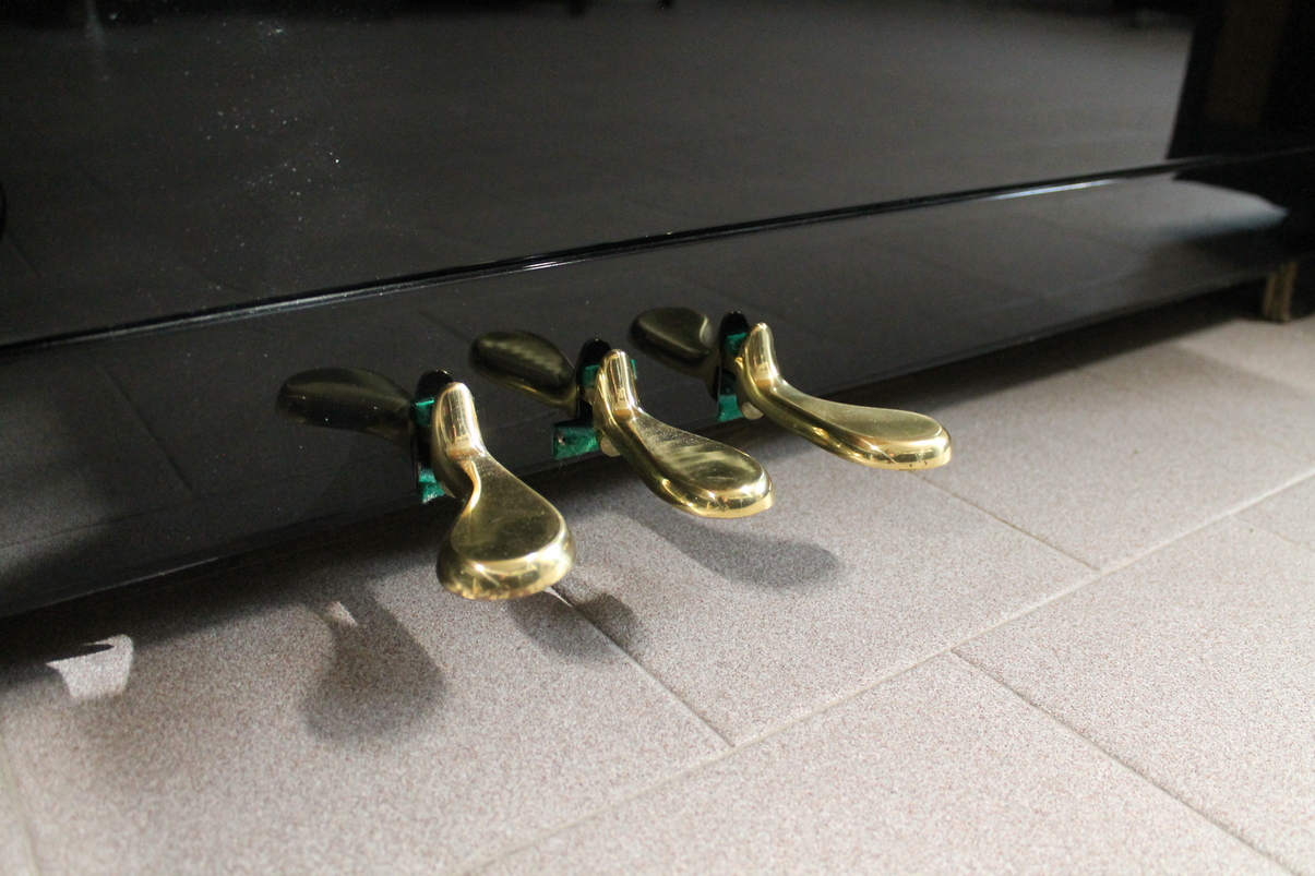 Schulze Pollmann SP109M USATO cod. 9925 - immagine 9