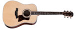 Taylor Legacy 810e