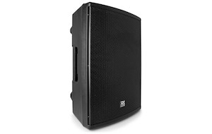 PD412P Passive Speaker 12