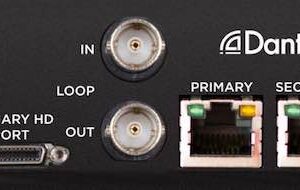 Apogee Dante Option Card