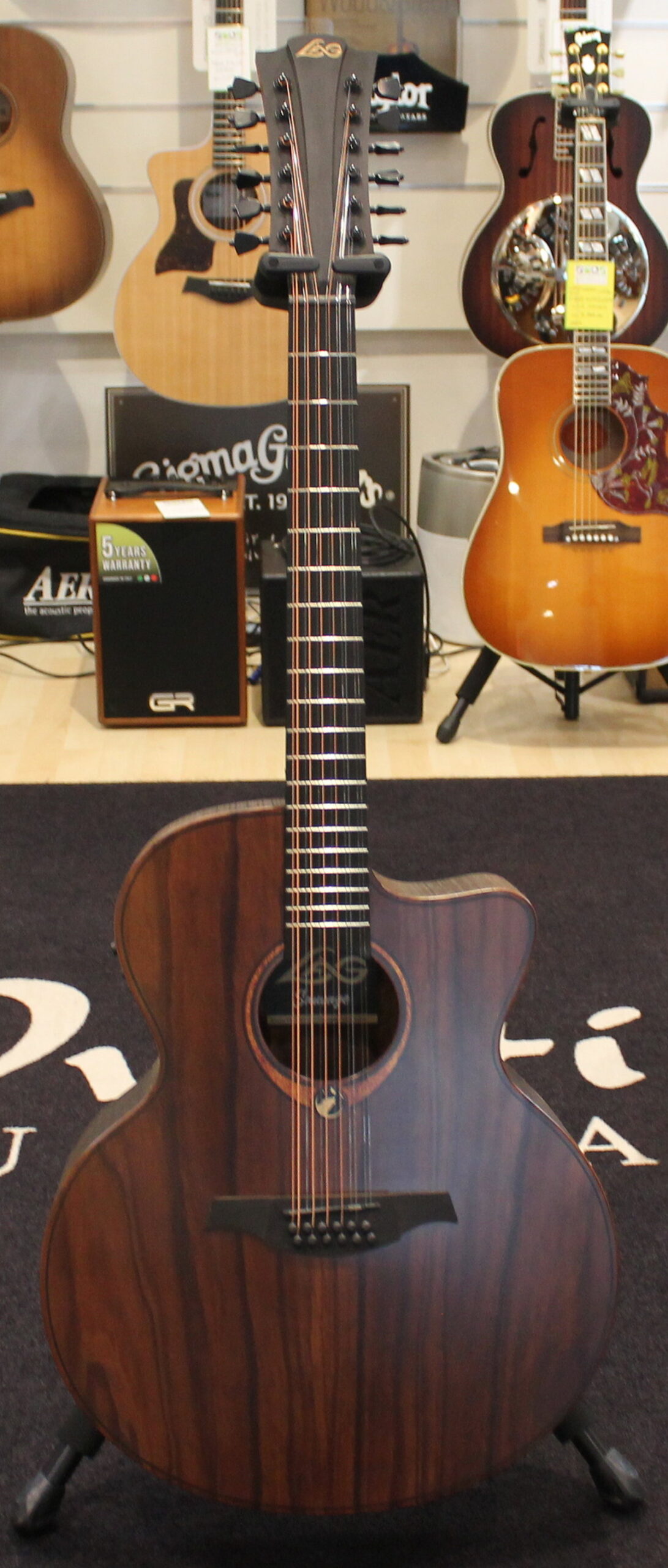 Lag Savage J12CE USATO cod. 28425