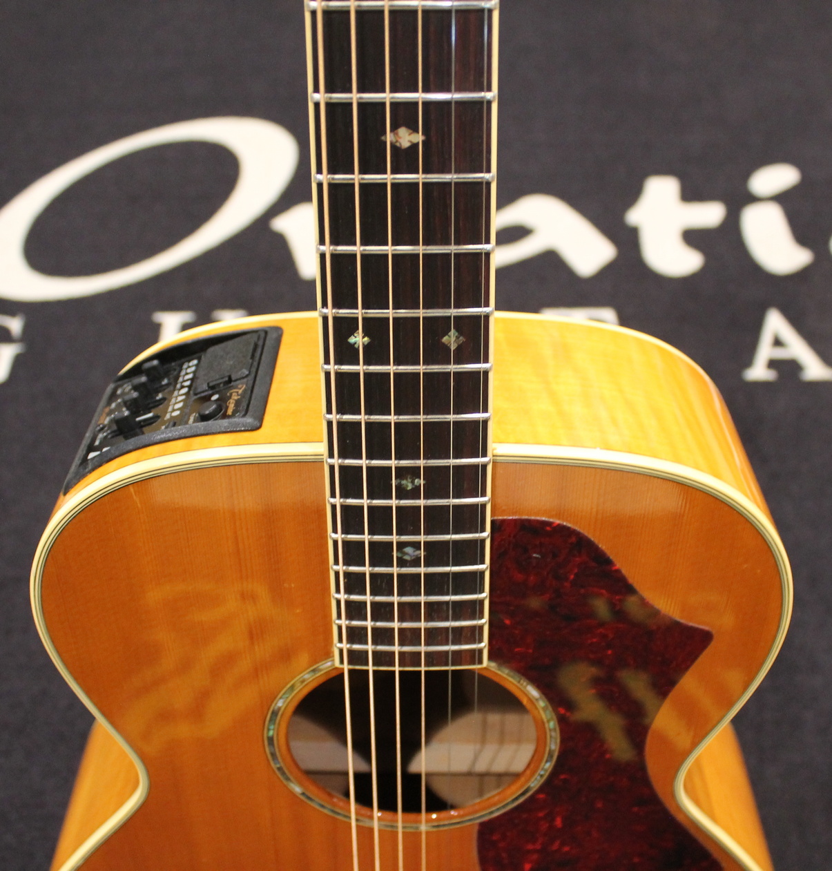 Takamine EF450M HG USATO cod. 30125 - immagine 6
