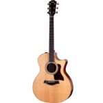 Taylor 314ce Studio Special Edition