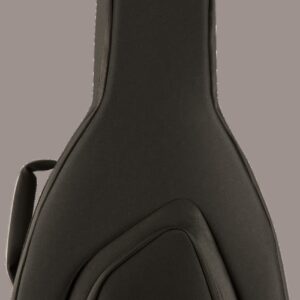 Fender FA610 Dreadnought Gig Bag
