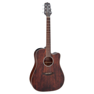 Takamine GD21CE-SM Molasses
