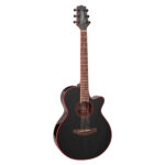 Takamine GF49CE-CB Cosmic Black Sparkle