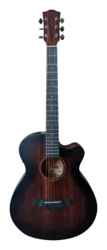 Vermont F100CE-S