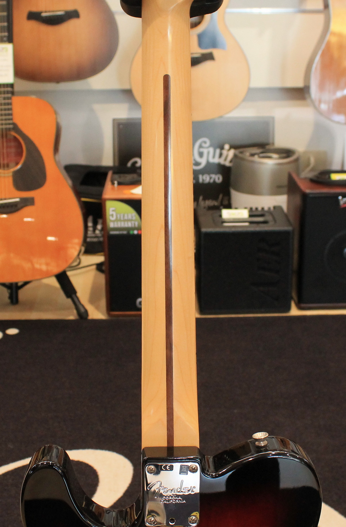 Fender American Professional Telecaster USATO cod. 64925 - immagine 12