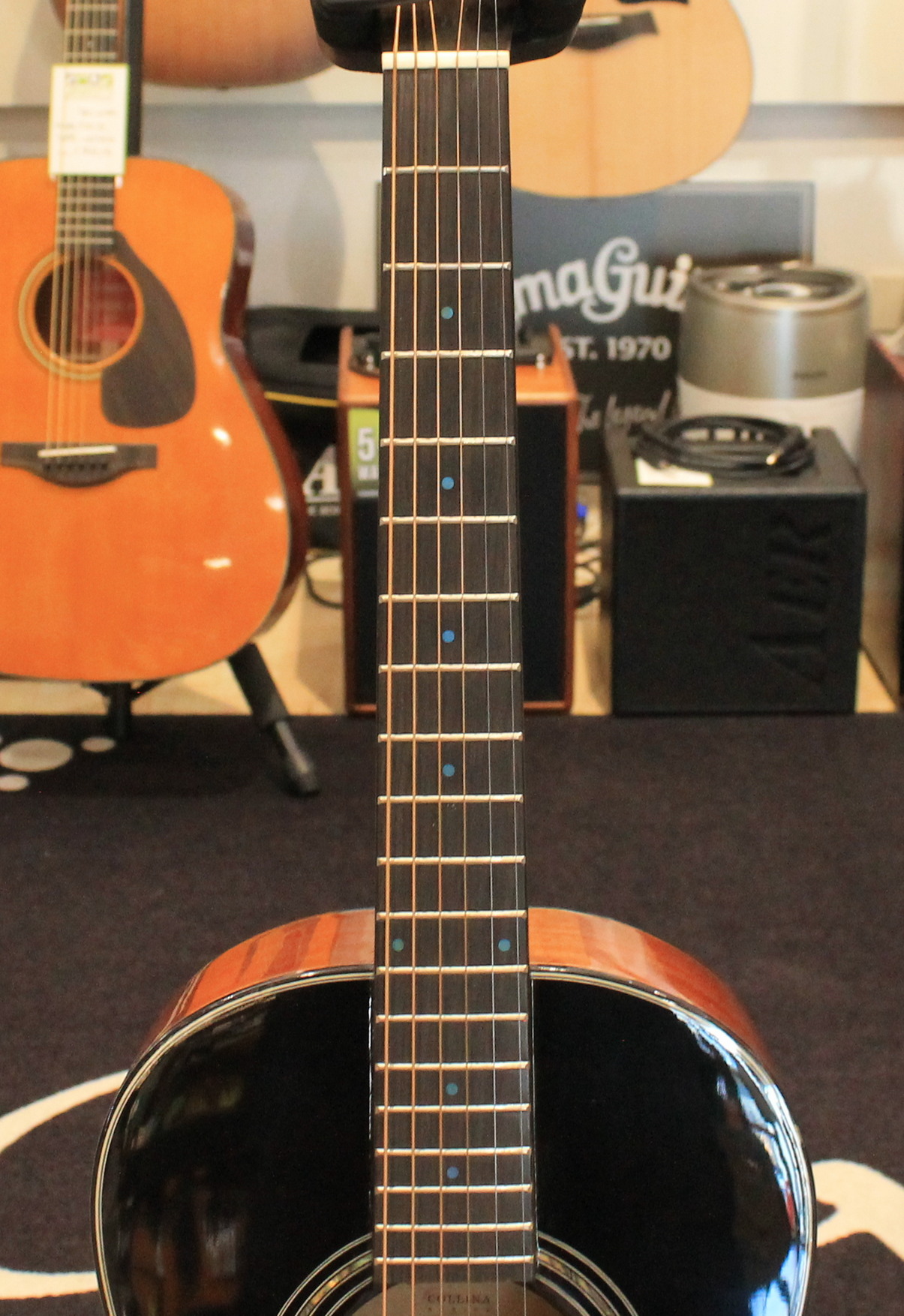 Goldwood CS PE SG Sunburst USATO cod. 82825 - immagine 6