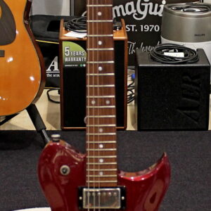 Washburn Pilsen USATO cod. 80925