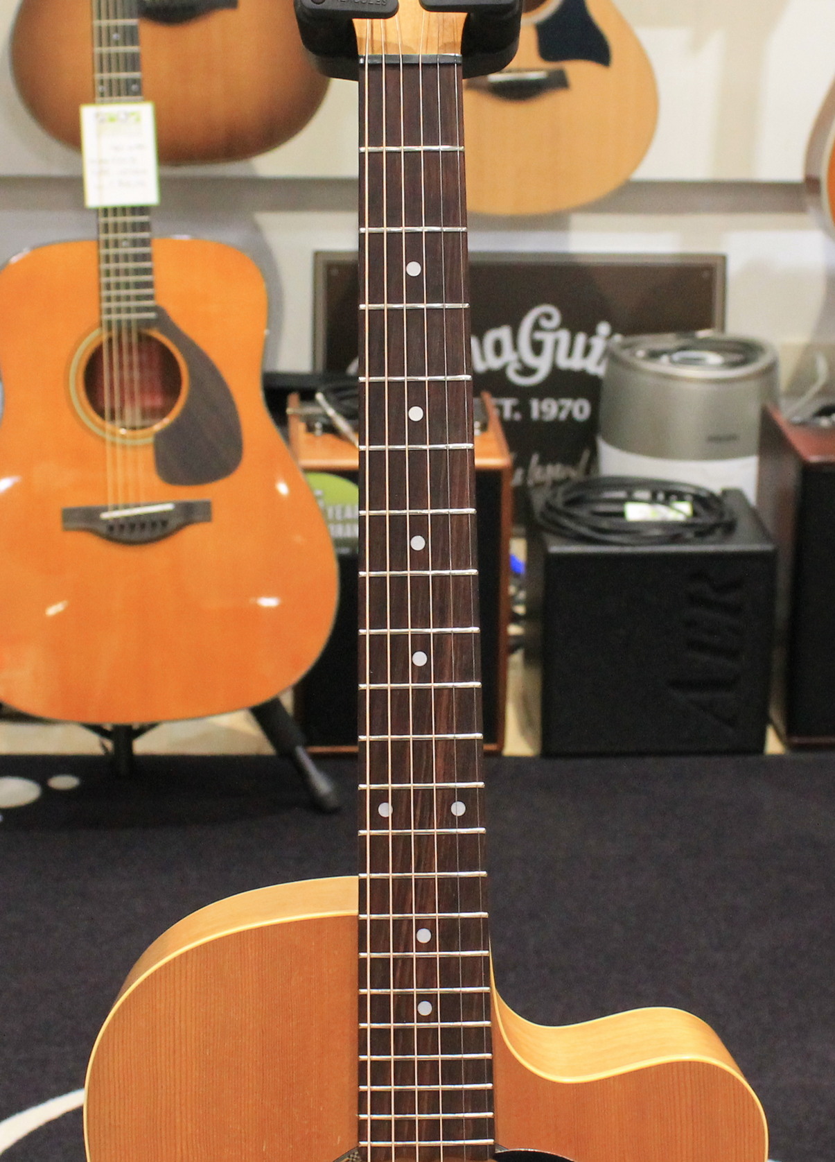 Maton EM225C USATO cod. 86925 - immagine 6