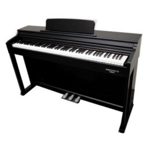 Echord DPX-100B Black Ex Demo