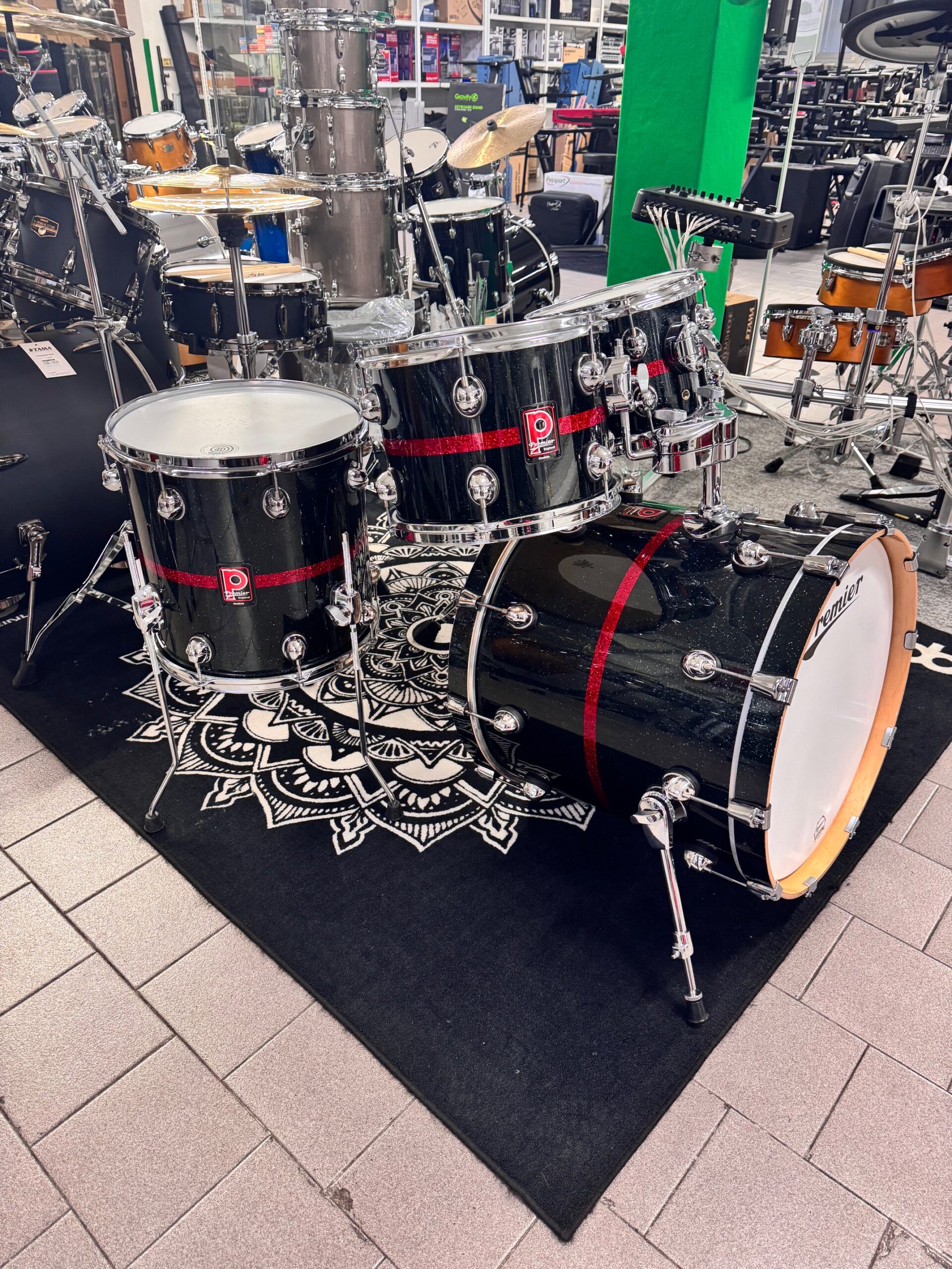 Premier Genista 5pz solo fusti EX DEMO cod. 826 - immagine 2