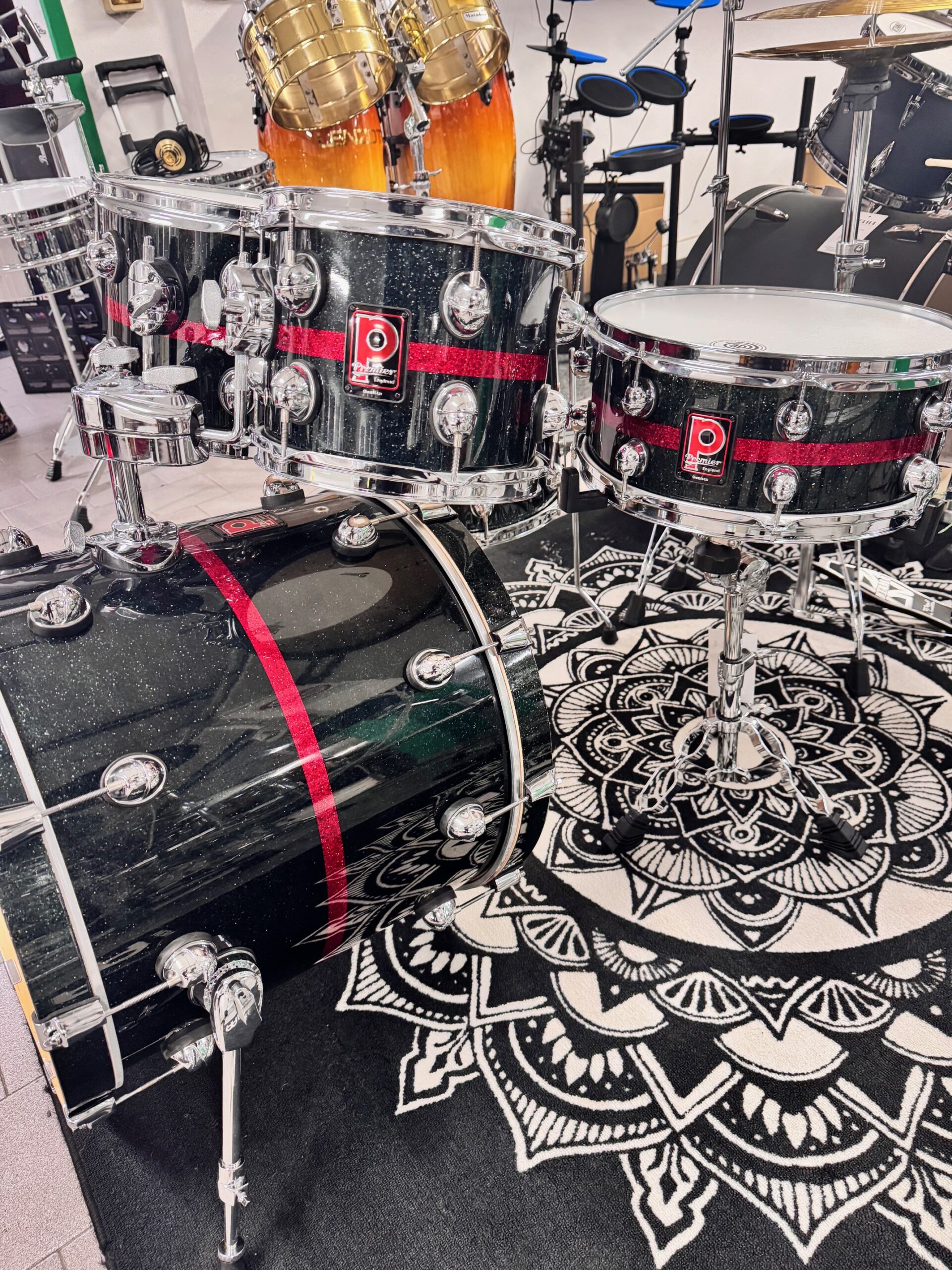 Premier Genista 5pz solo fusti EX DEMO cod. 826 - immagine 4