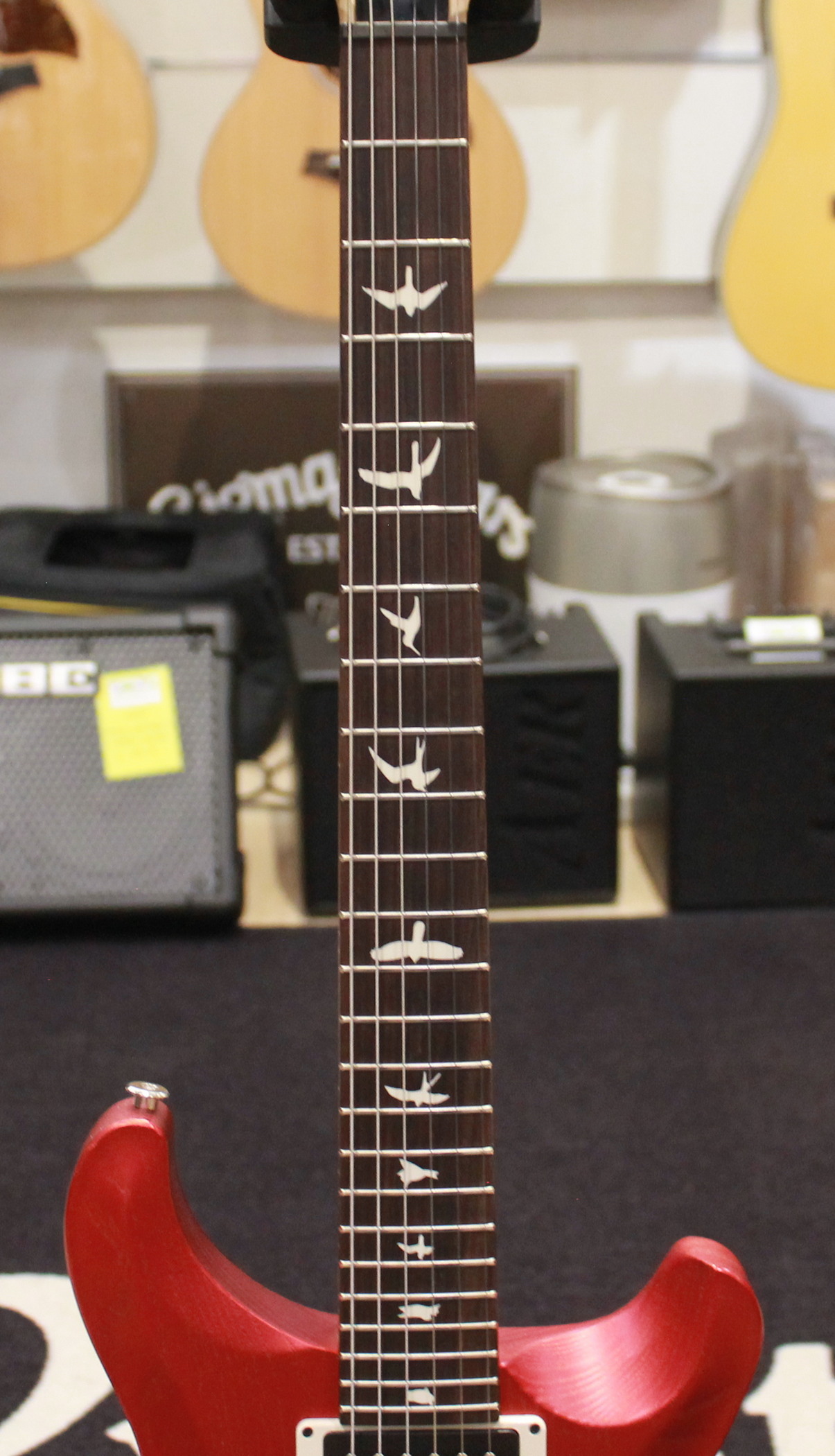 PRS Paul Reed Smith CE24-08 Swamp Ash LTD USATO cod. 7526 - immagine 6