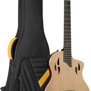 Ortega Tourplayer RTPSTD-NAT