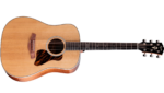 Taylor Gold Label 510e