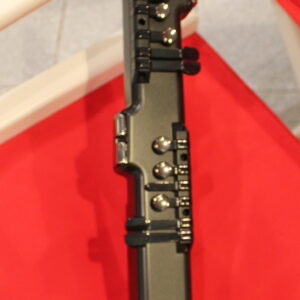 ASM Diosynth EX DEMO