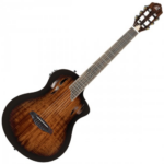 Ortega TourPlayer RTPDLX-ACA