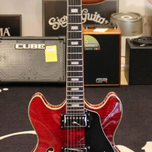 Sire Larry Carlton H7 USATO cod. 22326