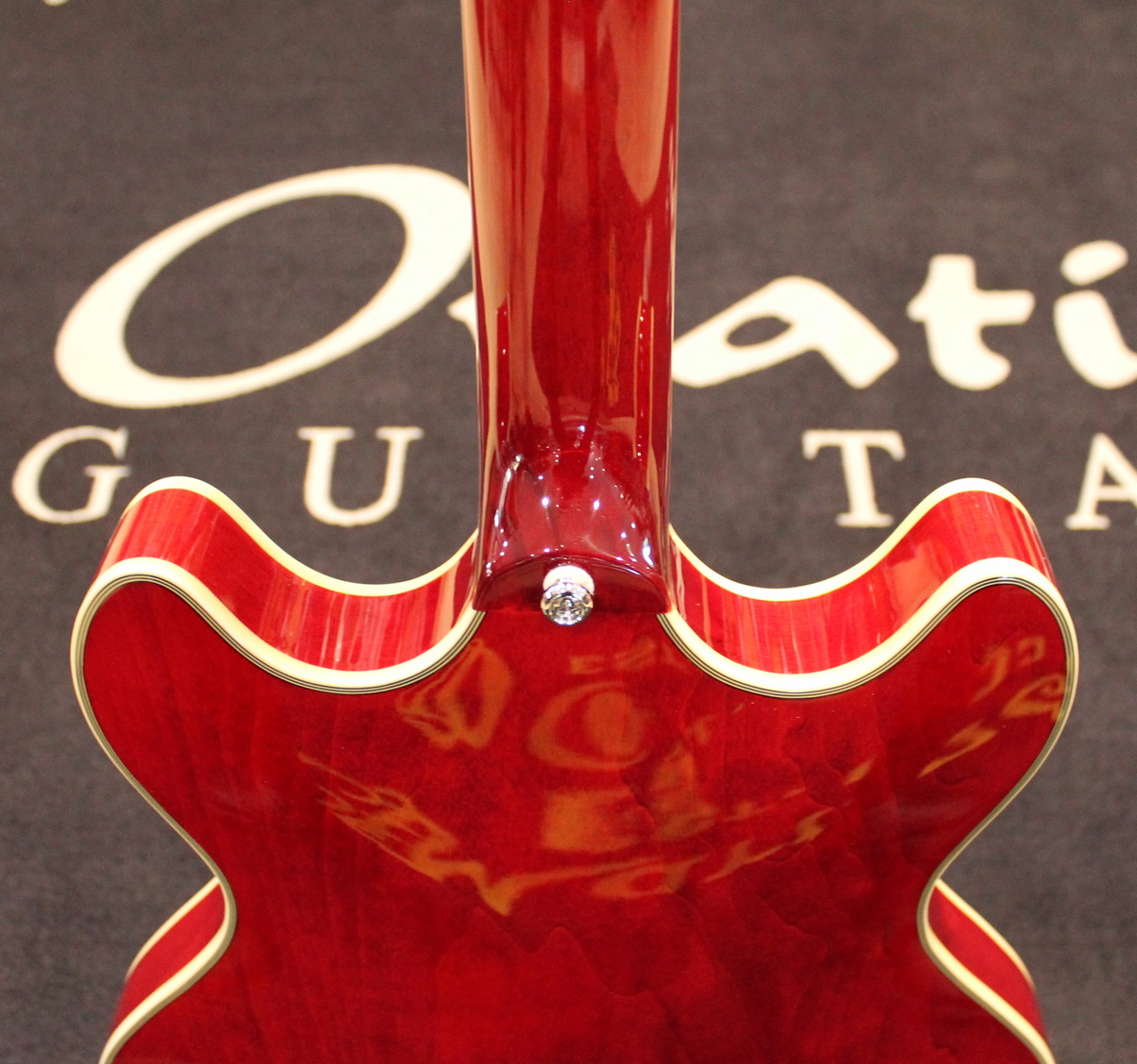 Sire Larry Carlton H7 USATO cod. 22326 - immagine 11