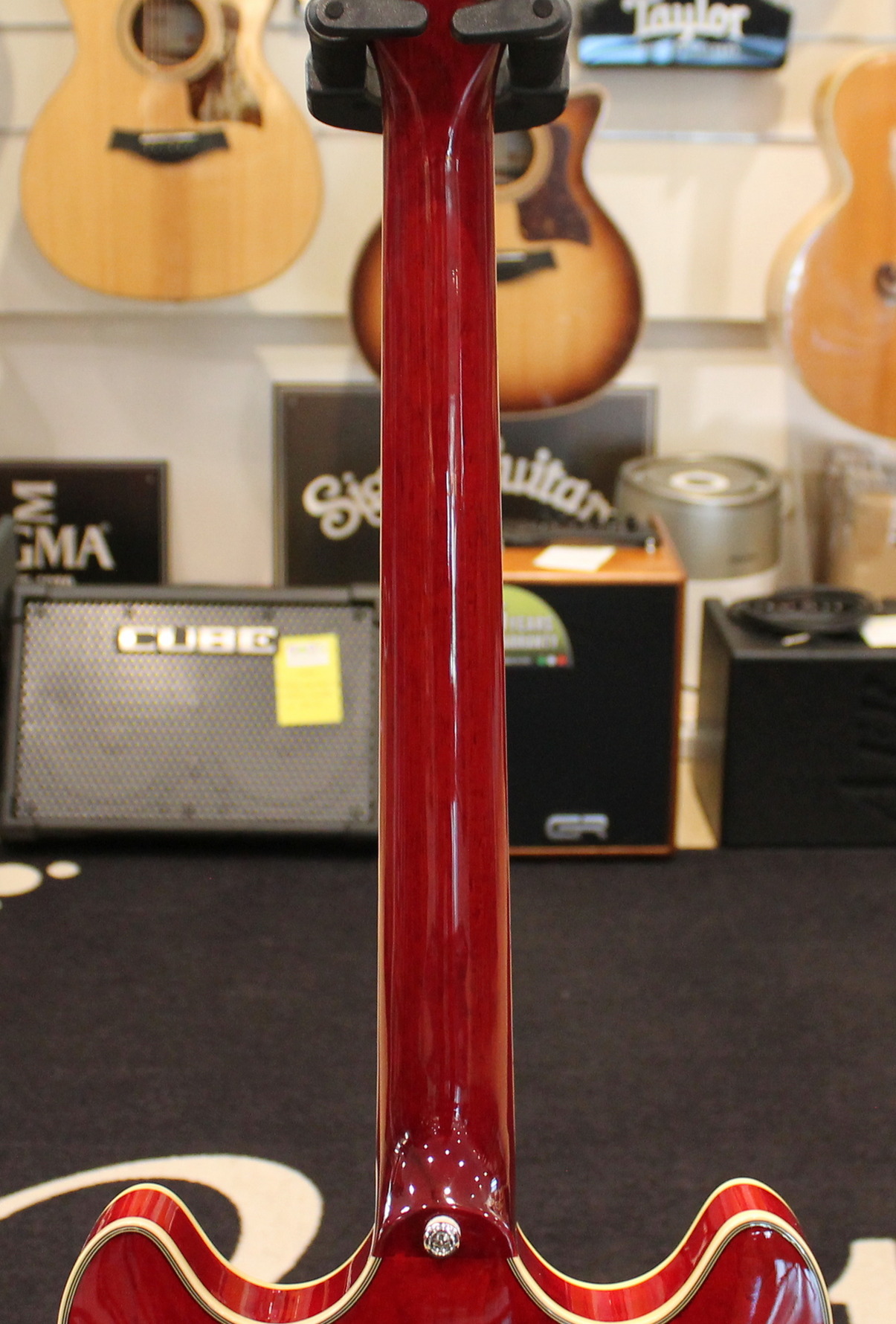 Sire Larry Carlton H7 USATO cod. 22326 - immagine 12