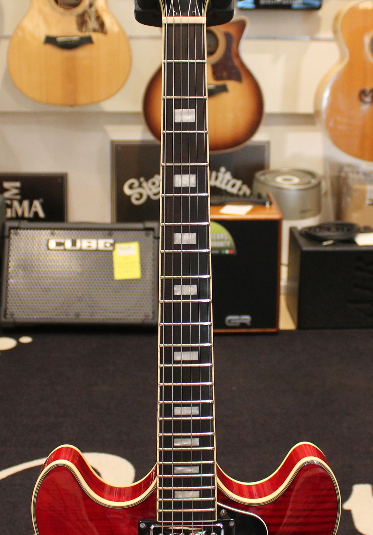 Sire Larry Carlton H7 USATO cod. 22326 - immagine 6