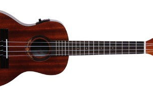 Leho LHC-MM-E Ex Demo