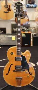 Ibanez FG100NT USATO cod. 26526