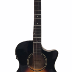 Crafter HT-250CE VS