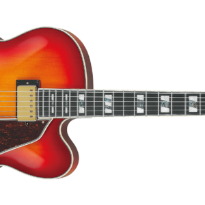 Ibanez AF115AWB Aged Whiskey Burst